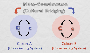 Figure 5: Intercultural meta-level